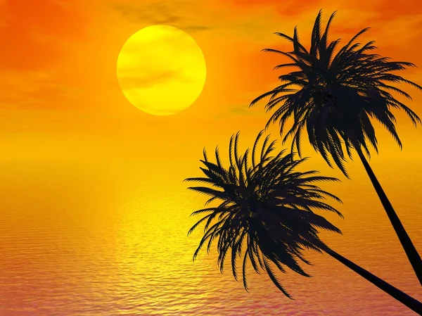Západ slunce palm — Stock fotografie