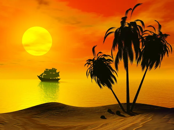 Sunset Palm — Stock Photo, Image