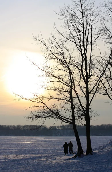 Winter Sunset — Stock Photo, Image