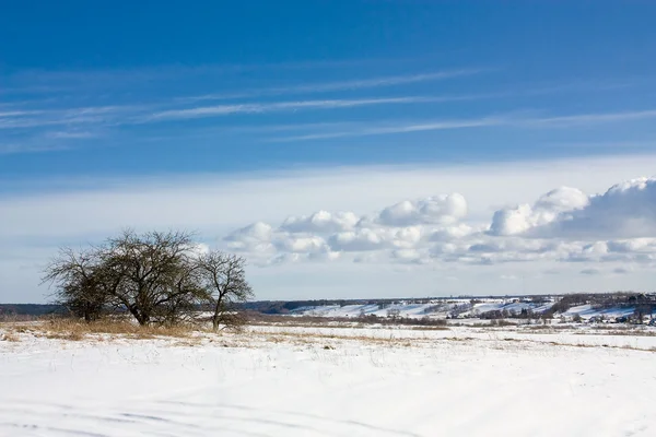 Snowy Landscape — Stock Photo, Image