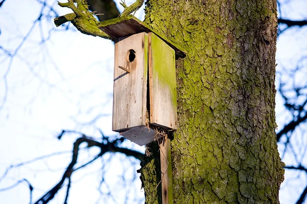 Birdhouse em uma árvore — Fotografia de Stock