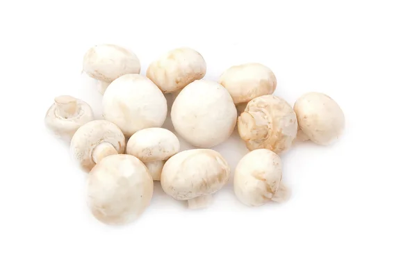 Ciuperci champignon — Fotografie, imagine de stoc