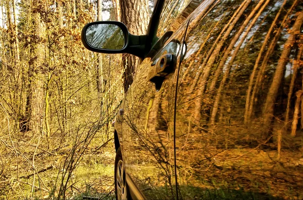 stock image The car in spring wood