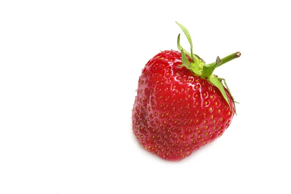 Einzelne Erdbeere isoliert auf einer weißen — Stockfoto