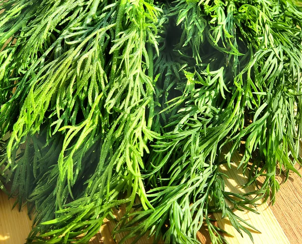 Dill with waterdrops on the wooden desk — Stock Photo, Image