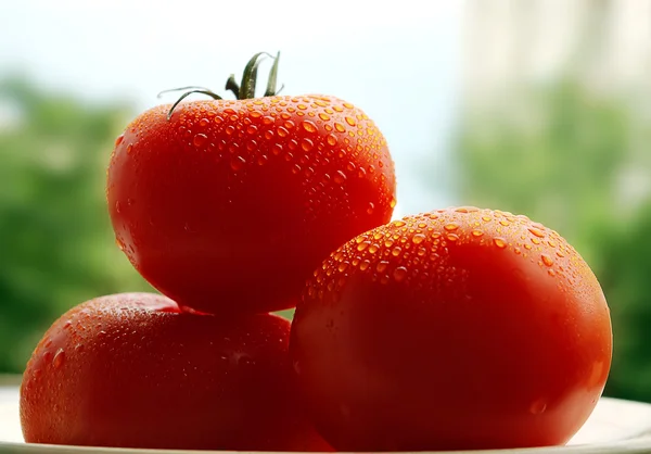 Three fresh tomatoes with waterdrops — Stock Photo, Image