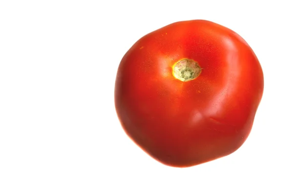 Fresh single tomato — Stock Photo, Image