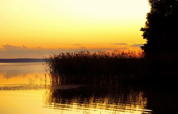 Krajina s západ slunce na jezeře — Stock fotografie