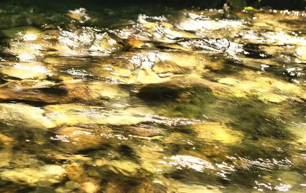 Zlatá řeka — Stock fotografie