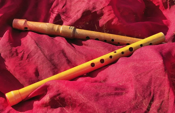 Deux flûtes en bois — Photo