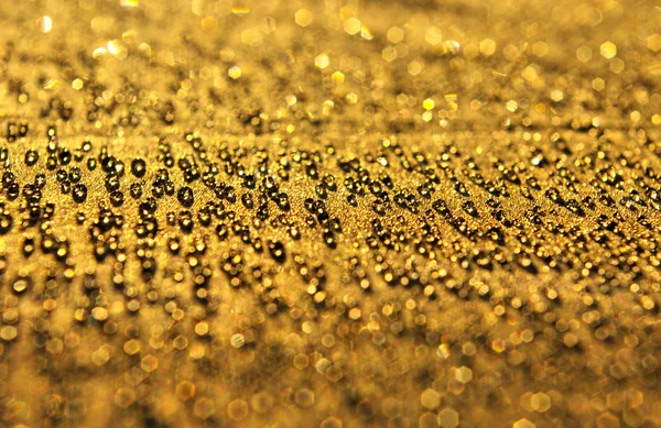 Gold waterdrops — Stock Photo, Image