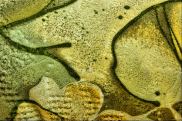 ソファのマルチカラーの覆い — ストック写真