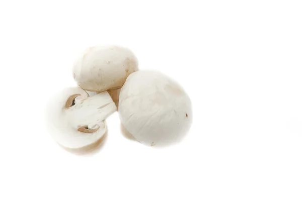 Trei ciuperci — Fotografie, imagine de stoc