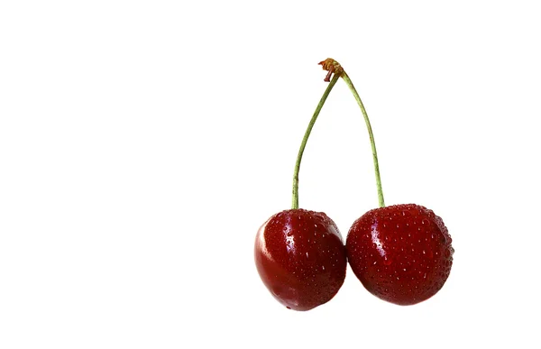 The cherries — Stock Photo, Image