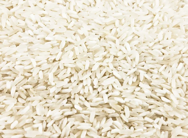 水稻背景 — 图库照片