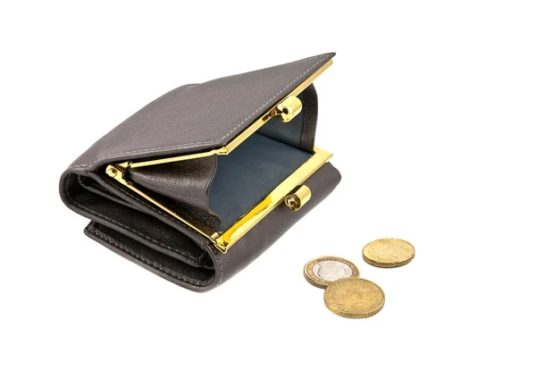 stock image Wallet and coins