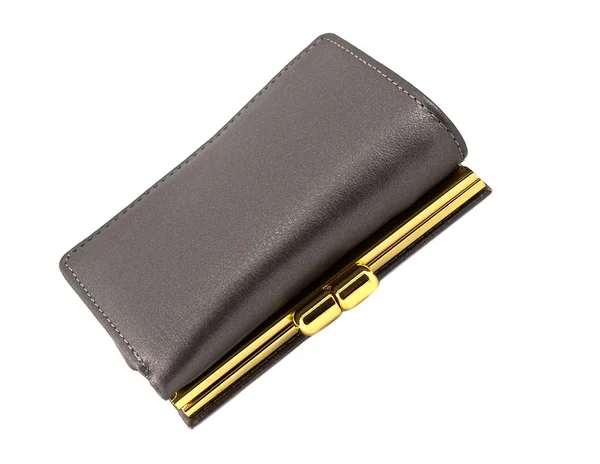 Enda plånbok — Stockfoto
