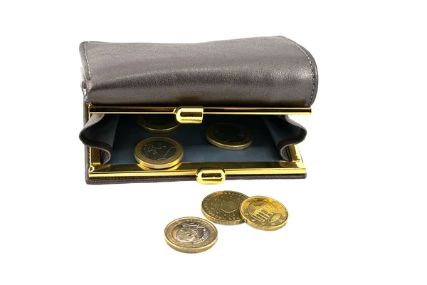Plånbok och mynt — Stockfoto