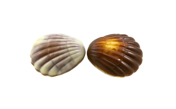 Čokoládové mušle — Stock fotografie