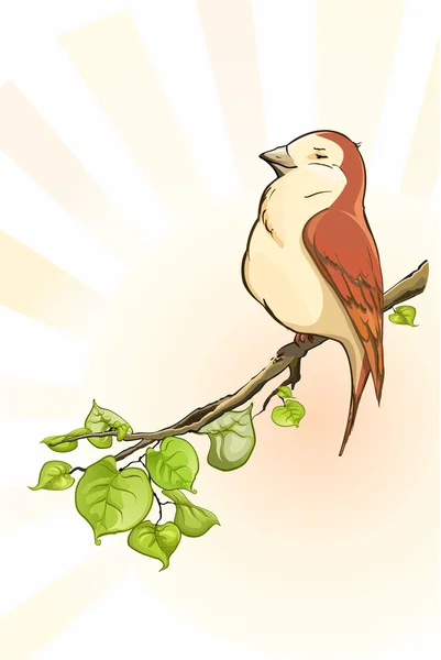 Uccello sul ramo — Vettoriale Stock