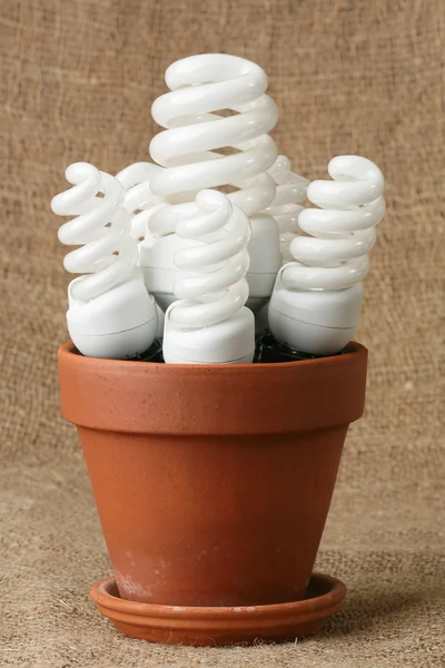 Power saving up bulbs — Stock Photo, Image
