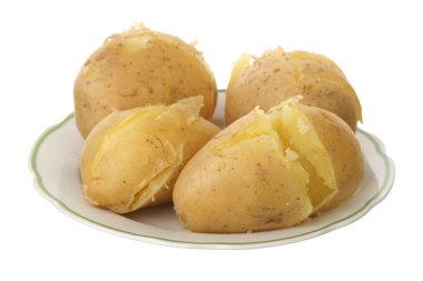 ceket patates