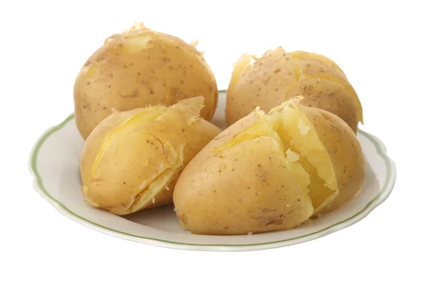 Ceket patates — Stok fotoğraf