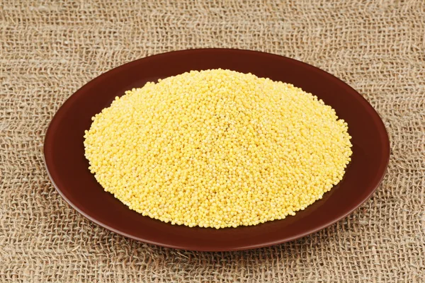 Plate with millet — Stock Photo, Image
