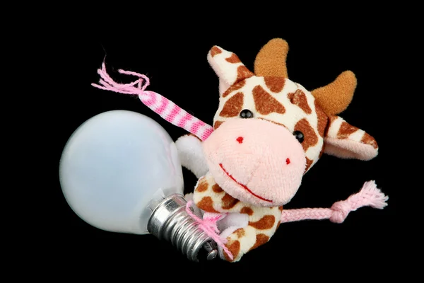 Vache avec une ampoule — Photo