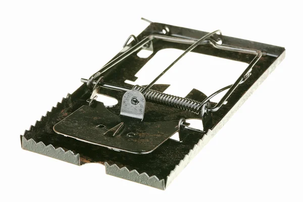 Empty mousetrap — Stock Photo, Image