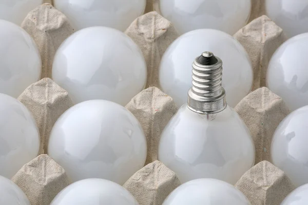 Light Bulbs — Stok fotoğraf