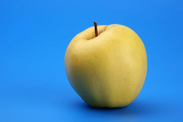 Желтое яблоко — стоковое фото