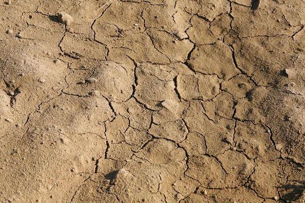 stock image Soil erosion