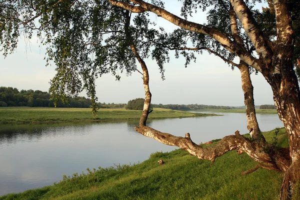 Morning on coast of Volga — Stock Photo, Image