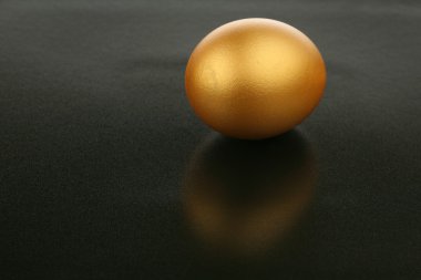 altın yumurta