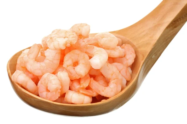 stock image Shrimps