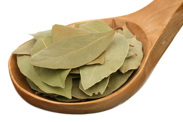 Bay leaf in a wooden spoon — Stock Photo, Image