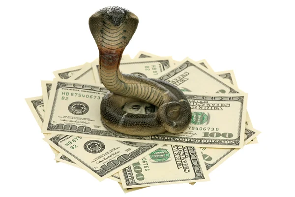 Cobra and US dollars — Stock Photo, Image