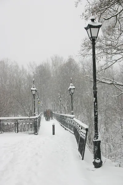 Πάρκο της πόλης με την γέφυρα και τα φανάρια — Φωτογραφία Αρχείου