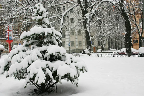 Stadspark in de winter Stockfoto