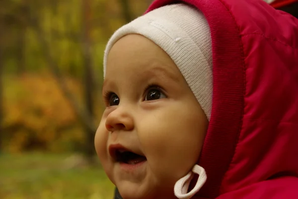 stock image Baby in the forest