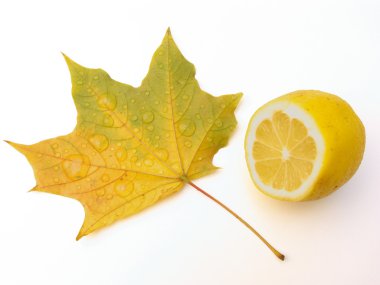 Leaf of a maple and lemon clipart