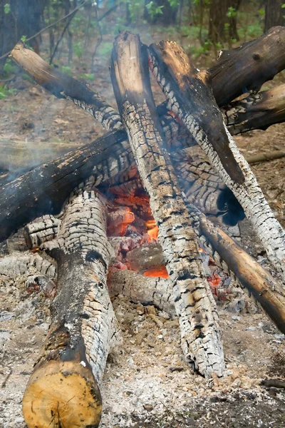 stock image Bonfire