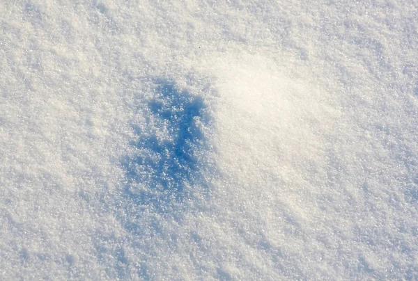 Neve fresca — Foto Stock
