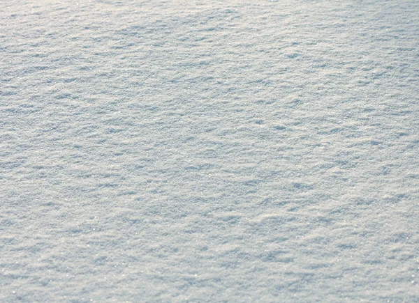 Свежий снег — стоковое фото
