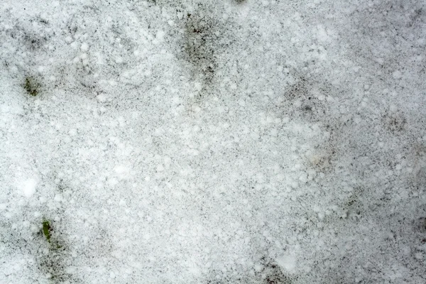 Neve fresca a terra — Foto Stock