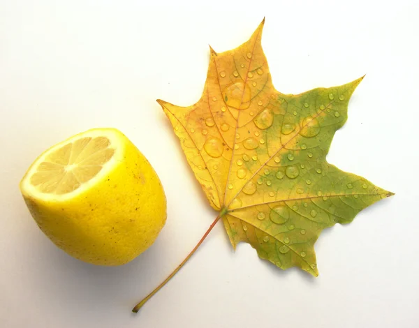 Hoja de arce y limón —  Fotos de Stock