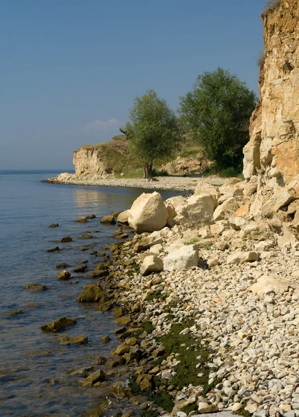 stock image Rocky beach