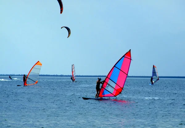 Windsurfers and kitesurfers on waves of — Stock Photo, Image