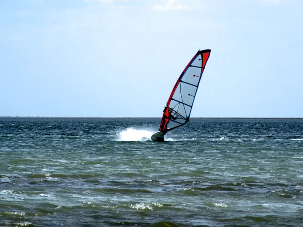 Windsurfer on waves of a gulf in the aft — Zdjęcie stockowe